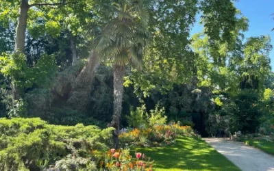 The Top 5+1 Dreamiest Parks in Paris for a Picnic