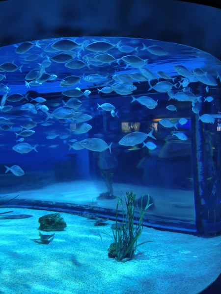 aquarium
