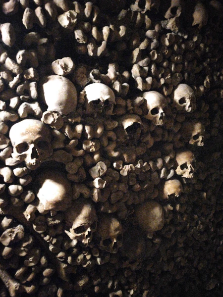 bones and skulls