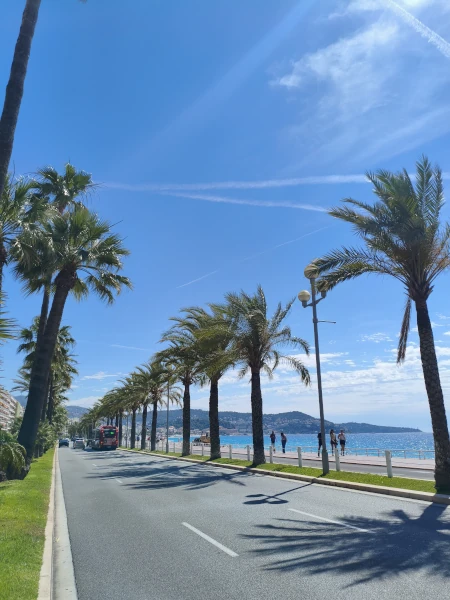 Nice Promenade with palm trees