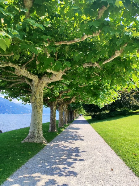 Gardens of Villa Melzi at Lake Como Gardens of Villa Melzi at Lake Como